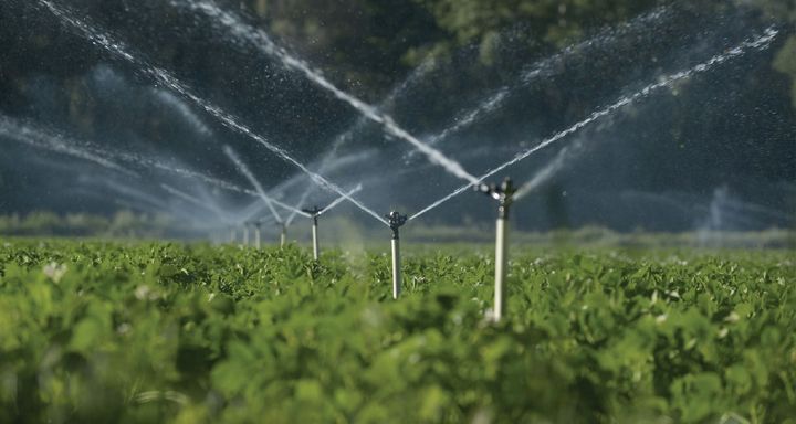Irrigation System Installation Overview: Planning, Components & Maintenance