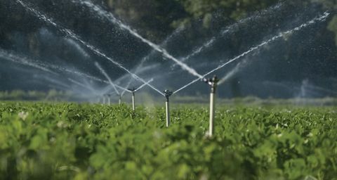 Irrigation System Installation Overview: Planning, Components & Maintenance