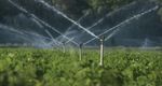 Irrigation System Installation Overview: Planning, Components & Maintenance